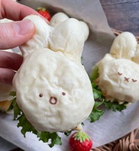 近くで見ると、しわしわ具合がよくわかります！