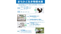 まちかど生き物標本展
