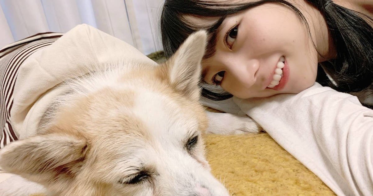 乃木坂46 北野日奈子さん 愛犬 チップ の発病 そして夢への第一歩 犬 猫との幸せな暮らしのためのペット情報サイト Sippo