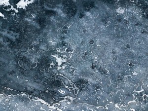 就活も失敗、卒論も手詰まり。「どうしようもないわたし」のままで