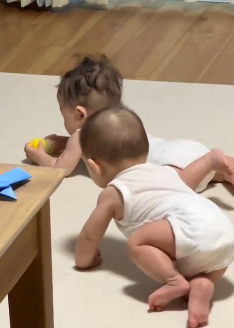 ゆっくりと弟くんが近付きます…！（提供：＠sally0819さん）
