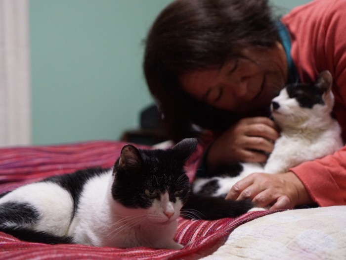 「赤ちゃんみたいなはなが来て、小梅も私も振り回されてますよ」