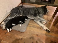 シンクロしてるの？