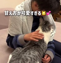 長男くんの腕をフミフミするろくちゃん（ろくはなさん提供、Instagramよりキャプチャ撮影）