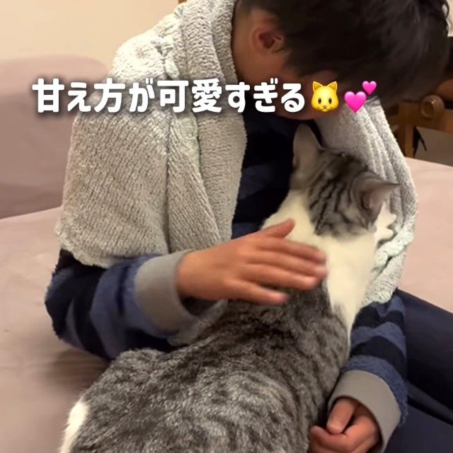 長男くんの腕をフミフミするろくちゃん（ろくはなさん提供、Instagramよりキャプチャ撮影）