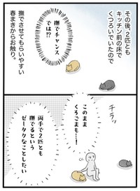 【漫画】『ネコと暮らした9日間』45（イゴカオリさん提供）