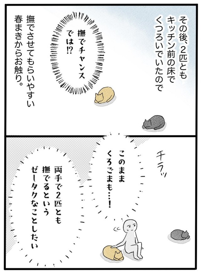 【漫画】『ネコと暮らした9日間』45（イゴカオリさん提供）