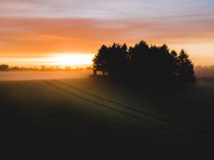 英語を話せないのに乗り込んだ北欧で、校長をひっ捕まえた