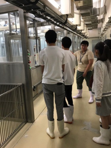 初めて視察にいったのは徳島の保健所だった