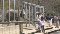 えさ代はどれくらい？動物のストレス解消法は？　動物園にまつわる疑問【みんなのハテナ】