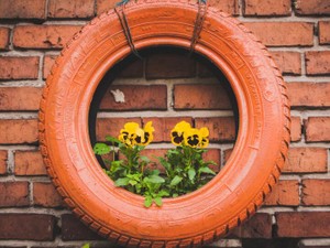 女子校と共学、どちらが良い教育？両方経験してわかったこと