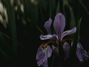 退職したかった私のもう1つの居場所。またこの店に帰る理由ができた