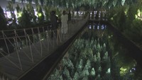森の芸術祭　2回目の会期は2027年9月18日～11月23日　岡山県北のアートイベント