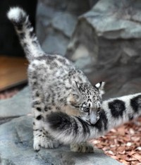 （rikuさん提供）