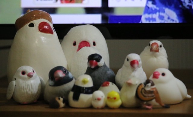 「かくれんぼもします」（提供：むぎ太郎さん）