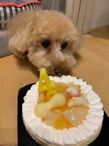 ケーキ♪　誕生日サイコー！（提供：お母さん）