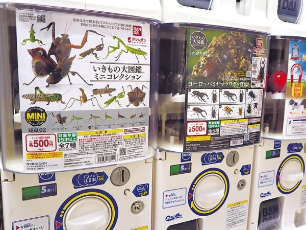 カプセルトイ 最新事情をレポ！