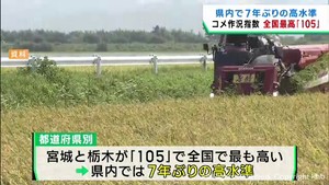 宮城県の米の作況指数　全国最高値１０５　７年ぶりの高水準