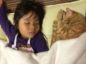 愛猫が娘をかばって猫パンチ！　仲良しの秘訣は迎えるタイミングと猫の性格