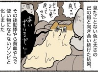 指輪との戦いに完全燃焼（ゆう｜ノープロブレムキャットさん提供）