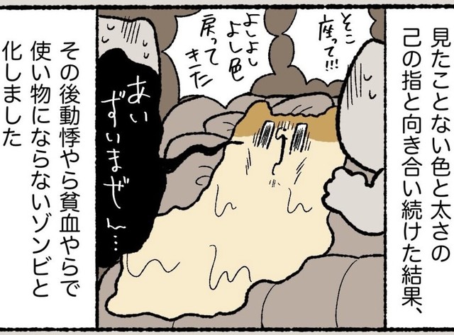 指輪との戦いに完全燃焼（ゆう｜ノープロブレムキャットさん提供）