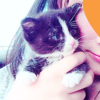 子猫時代、小さな前足がキュートなりぃちゃん（画像提供：もみおさん）