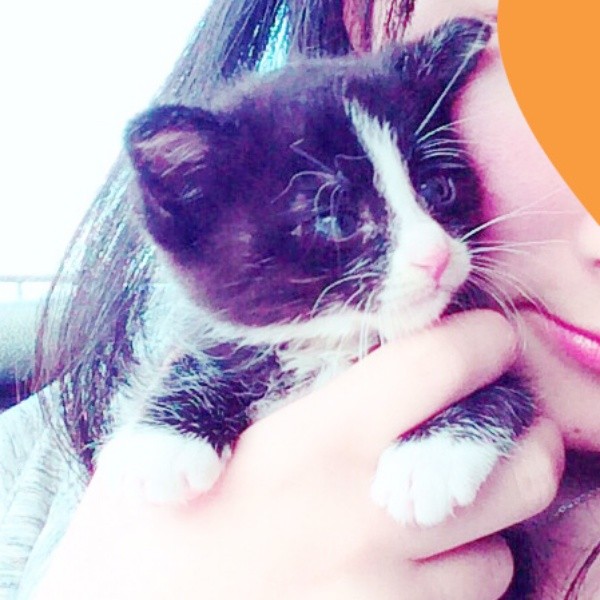 子猫時代、小さな前足がキュートなりぃちゃん（画像提供：もみおさん）