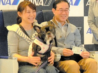 愛犬もケージで機内に　ＡＮＡの北海道ツアー、２日で完売