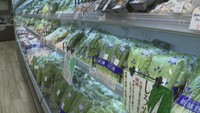 岡山県産の農産物約100種類が販売されている