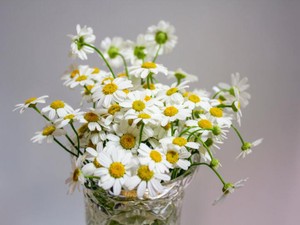 「すっぴんの方がずっと可愛いのに」。私のメイクを否定した友人の言葉