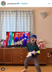 pecoのインスタグラム@pecotecoooより