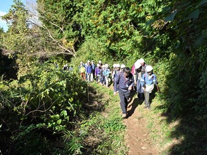 豊かな森林を次世代に残したい　公益財団法人森林文化協会、遺贈寄付の募集を開始