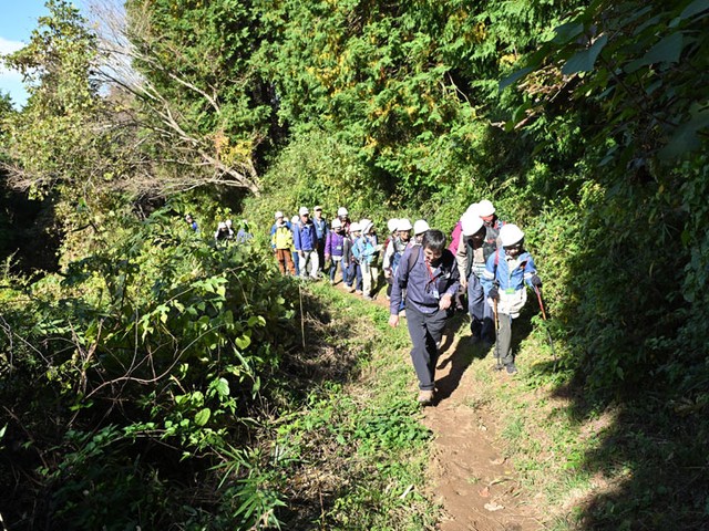 つくば万博の森40周年記念イベントで行われた自然観察会＝2025年11月