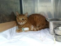 2019年、食道狭窄になって入院したとき