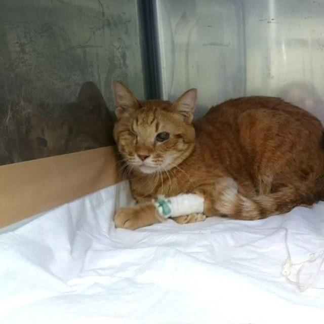 2019年、食道狭窄になって入院したとき