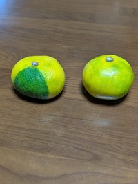 葉っぱかと思いきや…緑色なのは皮自体（オレンジさん提供）
