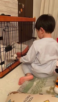 甘噛みがちょっと怖い…けど仲良くしたい！（提供）