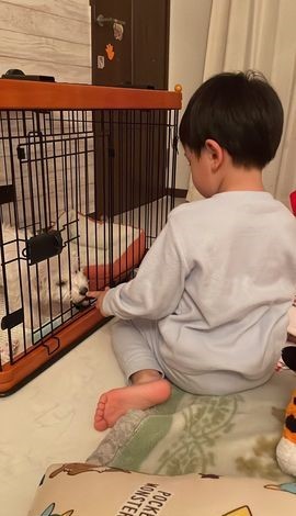 甘噛みがちょっと怖い…けど仲良くしたい！（提供）