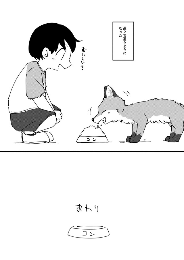 【漫画】『きつねいぬきつね』21（きつねねねさん提供）