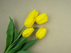 先に結婚を決めた友達に、心からの「おめでとう」が言えない私って、やばい？