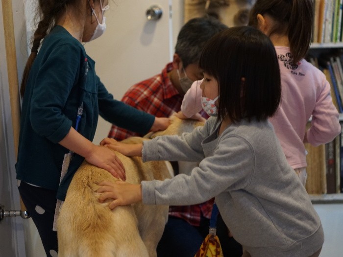 なでなで、いい子いい子。みんなのアイドル