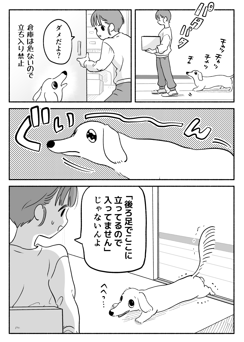 【1/2枚】この「後ろ足セーフ」の犬理論でトイレもミスってる(ちとせ@inunonekochanさんツイッターより)