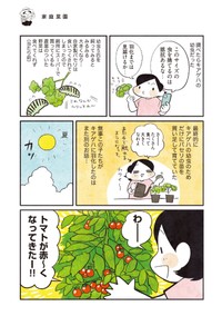 【漫画】『3000円ではじめるしあわせ趣味時間』28　（モチダちひろさん提供）