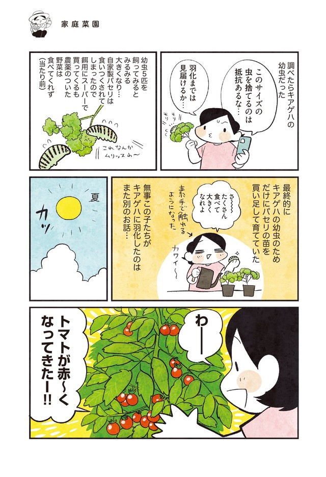 【漫画】『3000円ではじめるしあわせ趣味時間』28　（モチダちひろさん提供）