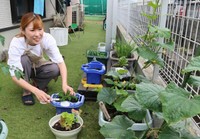 庭のスペースを利用してさまざまな野菜を育てている嶋田さん