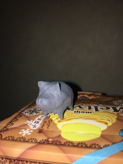 お菓子箱の上に乗った豚さん(提供：橘舞さん)
