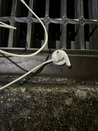 無事救出されたAirPods／ニケさん（@p63w_）提供