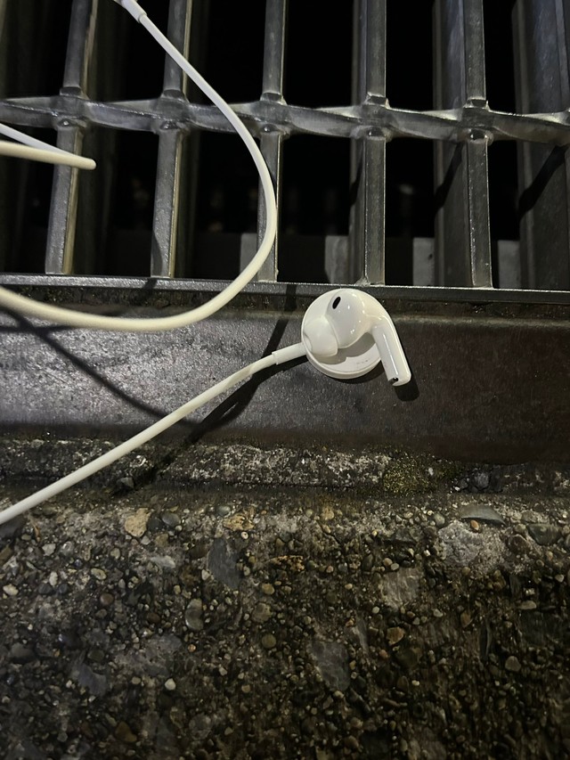 無事救出されたAirPods／ニケさん（@p63w_）提供