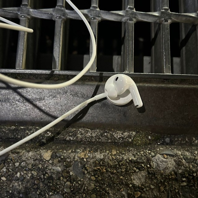 無事救出されたAirPods／ニケさん（@p63w_）提供