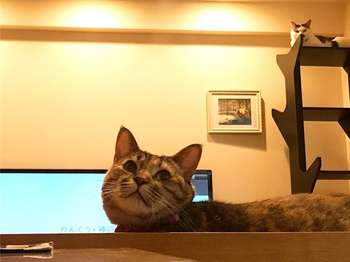 なんでも私が一番よ～